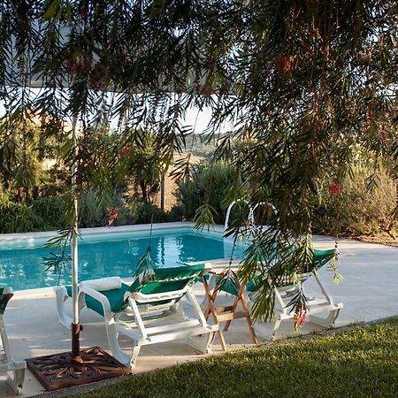 Casa Das Alfazemas Com Piscina, Jardim E Snooker Adao Lobo エクステリア 写真