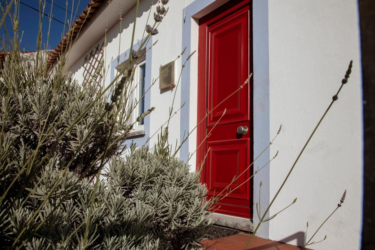 Casa Das Alfazemas Com Piscina, Jardim E Snooker Adao Lobo エクステリア 写真