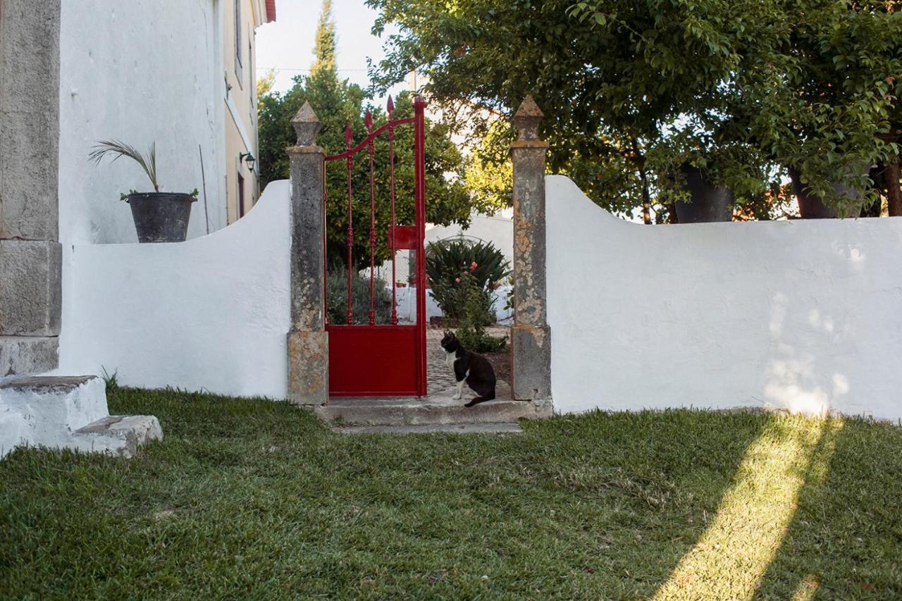 Casa Das Alfazemas Com Piscina, Jardim E Snooker Adao Lobo エクステリア 写真